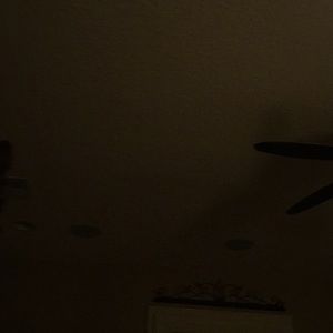 Meet your Posher, Dawne